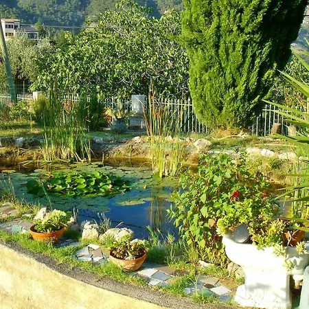 Baina Menton